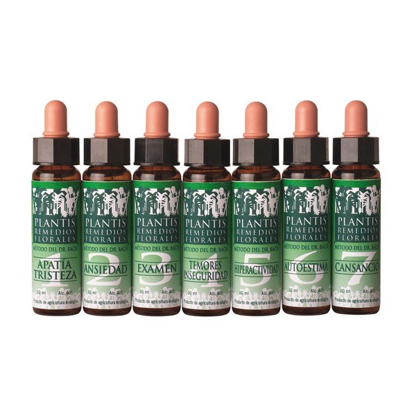 Remedio floral nº6  autoestima eco plantis 10 ml